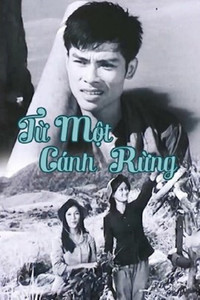 Poster de Từ Một Cánh Rừng