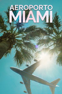 Aeroporto Miami S02E13