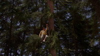 Обои к фильму «Счастливого Рождества, Дрейк и Джош (2008)» — (50 из 129)