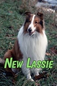 Poster de The New Lassie