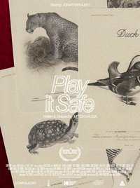 Poster de Play It Safe