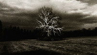 «Landscape (for Manon) (1987)» — обои к фильму #2