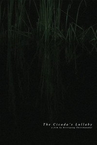 The Cicada's Lullaby
