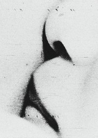 愛