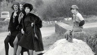 «Увези меня в Ритц (1977)» — обои к фильму #1