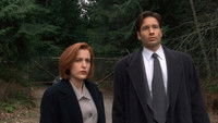 X-Files (saisons 10 et 11)