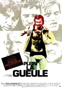 Plein la gueule (1974)