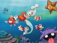 The Misty Mermaid