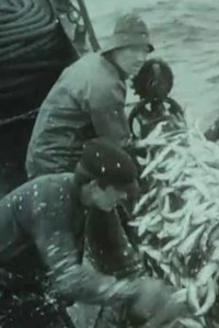 Imagem do Filme Fishing for Atlantic Herring Outside Aalesund 1914