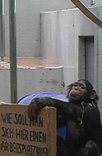 Imagem do Filme dereguliert I