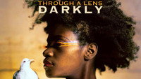 «Through a Lens Darkly: Black Photographers and the Emergence of a People (2014)» — обои к фильму #1