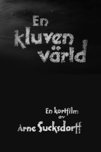 En kluven värld (1948)