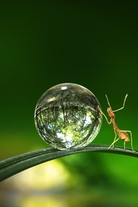 movie-images