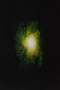 Постер фильма «Искусство видения (1965)» — (5 из 14)