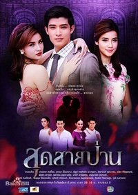 สุดสายป่าน (2013)