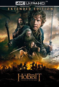 Постер фильма «Хоббит: Битва пяти воинств (2014)» — (22 из 134)