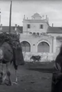 Постер к фильму Sousse: Marché aux charbons (avec chameaux) (1896)