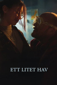 Ett litet hav