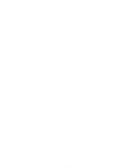 Aardman Academy