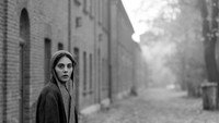 «Девушка с иглой (2024)» — обои к фильму #5