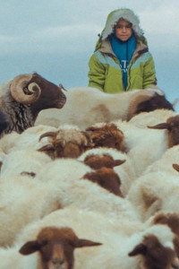 Du soleil et du plomb