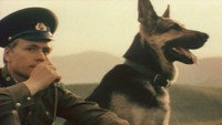 «Пограничный пес Алый (1979)» — обои к фильму #1