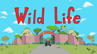 «Wild Life (2020)» — обои к мультсериалу #2