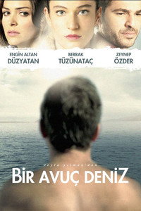 Постер фильма «Море на ладони (2011)» — (3 из 7)