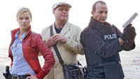 «Оранжевый шпион (2009)» — обои к фильму #1