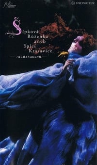 Постер мультфильма «Шиповник, или Спящая красавица (1990)» — (1 из 2)