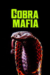 Постер фильма «Мафия кобр (2014)» — (2 из 10)