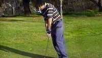 «Shonky Golf (1999)» — обои к фильму #1