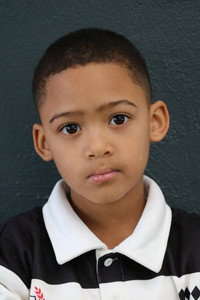Troy Paulse