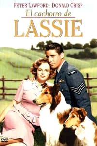 Poster de El hijo de Lassie