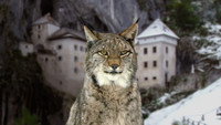 «Wild Castles (2017)» — обои к сериалу #1