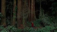 «Behind the Redwood Curtain (2013)» — обои к фильму #1