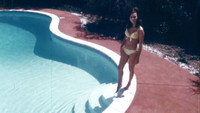 «Two Roses and a Golden Rod (1969)» — обои к фильму #1
