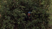 «Рожденный в восточном Лос-Анджелесе (1987)» — обои к фильму #10
