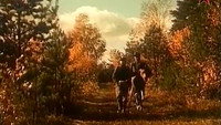 «Повесть о лесном великане (1954)» — обои к фильму #1