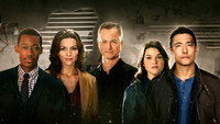 «Мыслить как преступник: За границей (2016-2017)» — обои к сериалу #2