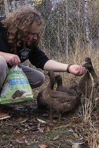 Baylin and the Ducks