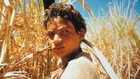 «Последнее солнце (2001)» — обои к фильму #2