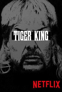 Постер сериала «Король тигров: Убийство, хаос и безумие (2020)» — (6 из 28)