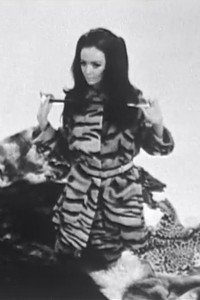 Постер фильма «Barbara et ses fourrures (1967)» — (2 из 2)