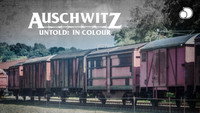 «Auschwitz Untold in Color (2020)» — обои к сериалу #3