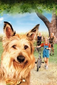 movie-images