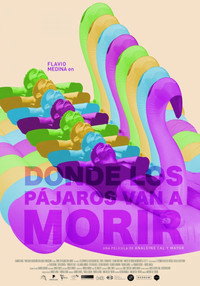 Постер фильма «Donde los pájaros van a morir (2022)» — (1 из 2)