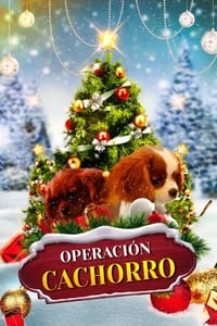 Poster de Operación Cachorro
