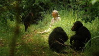 «Путешествие Джейн (2010)» — обои к фильму #1