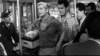 «I dritti (1957)» — обои к фильму #2